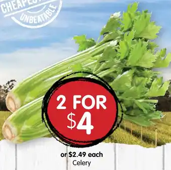 Spudshed Celery offer