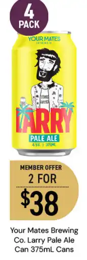 Dan Murphy's Your Mates Brewing Co. Larry Pale Ale Cans offer