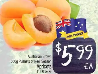 Foodworks Australian Grown 500g Punnets Of New Season Apricots offer