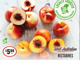 IGA Nectarines offer