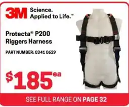 Blackwoods Protecta P200 Riggers Harness offer