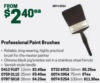 Blackwoods Professional Paint Brushes offer