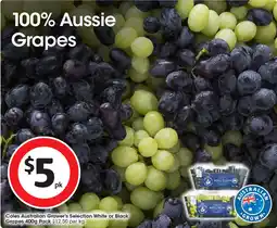 Coles Grower's selection white or black grapes offer