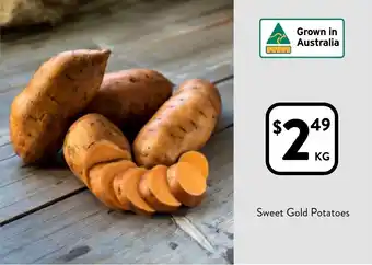 Foodworks Sweet gold potatoes offer