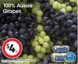 Coles Coles Australian Grower's Selection White or Black Grapes offer