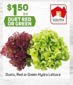 Foodland Duets, Red or Green Hydro Lettuce offer