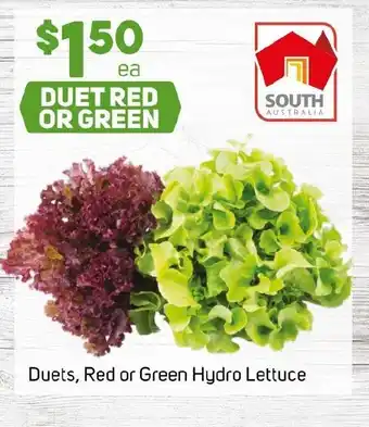 Foodland Duets, Red or Green Hydro Lettuce offer