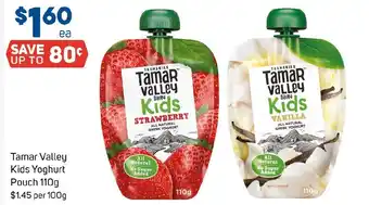 Foodland Tamar Valley Kids Yoghurt Pouch offer