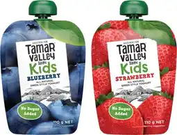 Coles Tamar Valley Dairy Kids Greek Style Yoghurt Pouch 110g offer