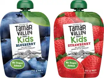 Coles Tamar Valley Dairy Kids Greek Style Yoghurt Pouch 110g offer