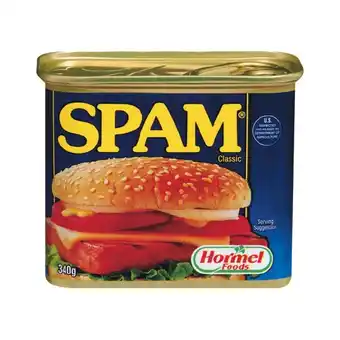 Woolworths Spam Canned Meat 340g offer