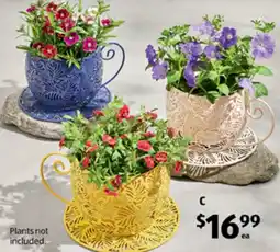 ALDI Tea Cup Planter offer