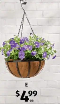 ALDI Hanging Basket with Liner offer