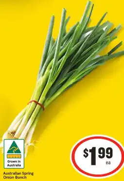 IGA Australian Spring Onion Bunch offer