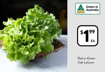 Foodworks Red or Green Oak Lettuce offer