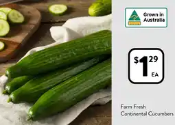 Foodworks Farm Fresh Continental Cucumbers offer