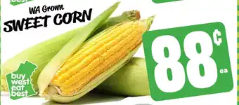 Farmer Jack's Sweet corn offer