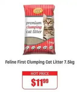 Pets Domain Feline First Clumping Cat Litter offer