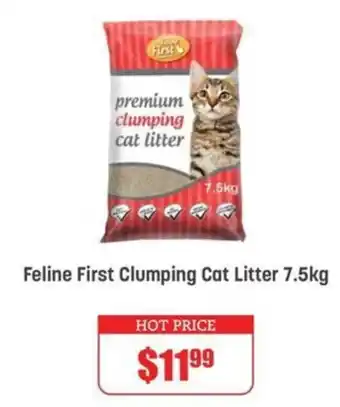 Pets Domain Feline First Clumping Cat Litter offer