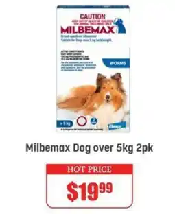 Pets Domain Milbemax Dog offer