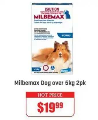 Pets Domain Milbemax Dog offer