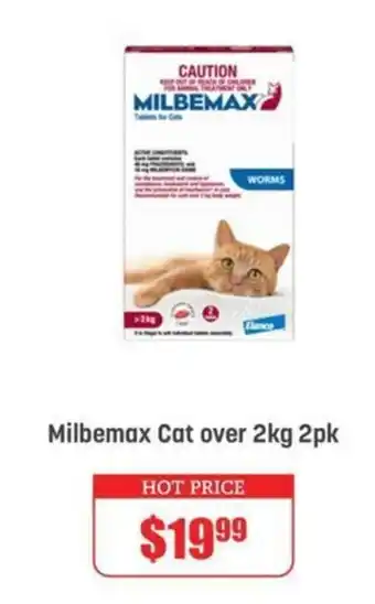 Pets Domain Milbemax Cat offer