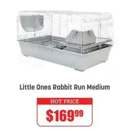 Pets Domain Little Ones Rabbit Run Medium offer