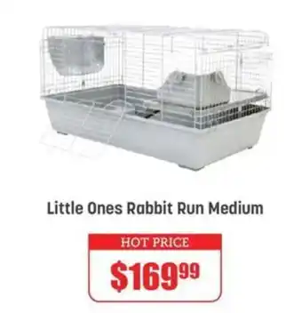 Pets Domain Little Ones Rabbit Run Medium offer