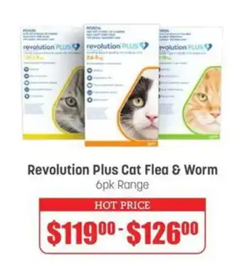 Pets Domain Revolution Plus Cat Flea & Worm offer