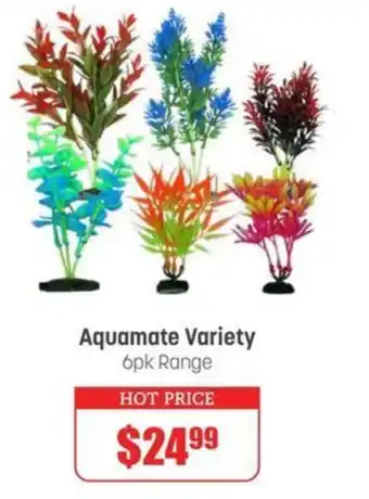 Pets Domain Aquamate Variety offer