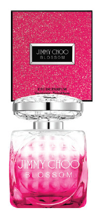 Chemist Warehouse Jimmy choo blossom 100ml edp offer