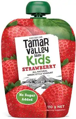 IGA Tamar Valley Kids Greek Yoghurt 110g Selected Varieties offer