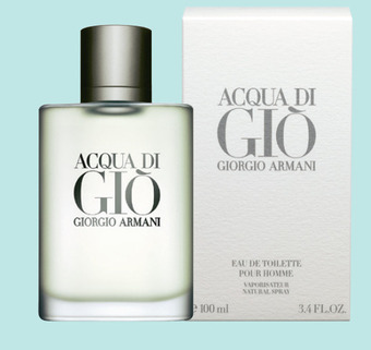Giorgio armani acqua di giò 100ml edt