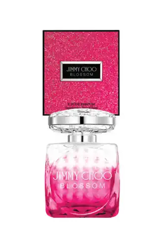 My Beauty Spot Jimmy choo blossom 100ml edp offer