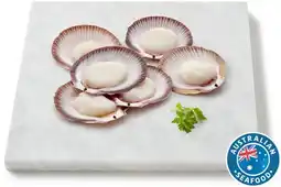 Coles Coles Australian Thawed Half Shell Scallops offer