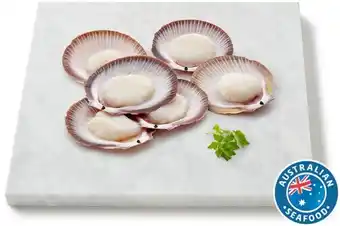 Coles Coles Australian Thawed Half Shell Scallops offer