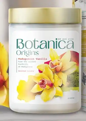 Coles Botanica By Air Wick Origins Candle 1 Each offer