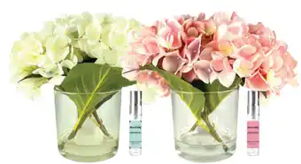 Hydrangea diffuser & spray bottle