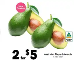 Drakes Australian Shepard Avocado offer