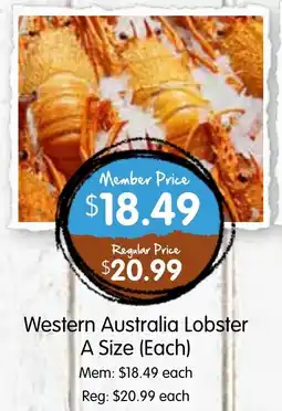 Spudshed Western Australia Lobster A Size offer