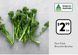 Foodworks Farm Fresh Broccolini Bunches offer