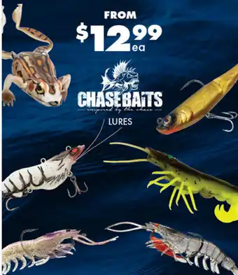 BCF Chase baits offer