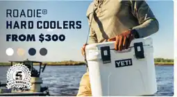 BCF HARD COOLERS offer