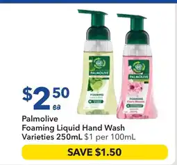 Ritchies Foaming Liquid Hand Wash offer