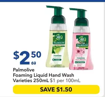 Ritchies Foaming Liquid Hand Wash offer