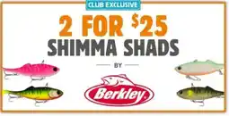 Anaconda SHIMMA SHADS offer