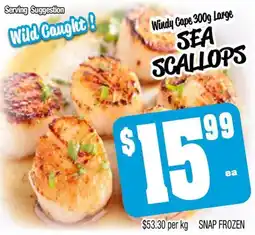 Farmer Jack's SEA SCALLOPS offer