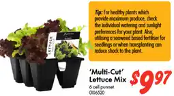 Bunnings Multi-Cut Lettuce Mix offer