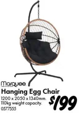 Bunnings Hanging Egg Chair offer