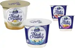 Coles Dairy Farmers Thick & Creamy Yoghurt 140g-150g offer